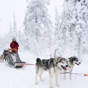 Noël ou Réveillon en Laponie