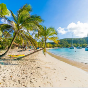 Croisière	A la découverte des Grenadines 5*